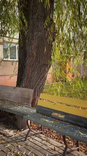 Autumn and winter – two seasons, two generations, two music, two images, two streams, two touching