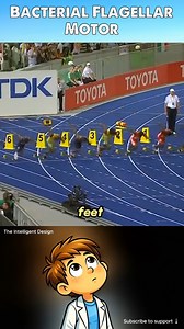 23K views · 969 reactions | Can unguided random processes build such a complex motor—such a complex bacterial flagellar motor? | The Intelligent Design | Facebook