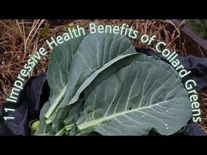 11 Impressive Health Benefits of Collard Greens