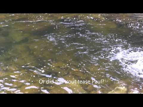 Androscoggin and Dead Diamond Rivers Fly Fishing