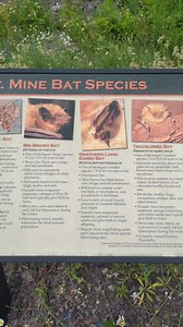 2.3K views · 83 reactions | Did you know bats hibernate in some of Michigan's abandoned mines? Stop by the Seneca #3 Mine on US-41 in Mohawk to learn more. | Visit Keweenaw | Facebook