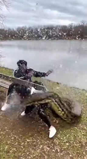 Woman Attacked by Giant Anaconda Near a Lake – Terrifying True Encounter