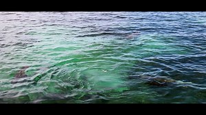 7.6K views · 49 reactions | Unforgettable experiences that make for the perfect day trip. Join us today! | Lobster Shack Cervantes | Facebook