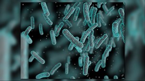 Texas pool closes after surfer dies from 'brain-eating amoeba'