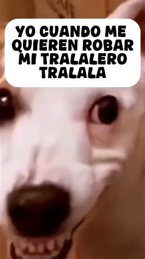 yo sería ese #roblox #scripting #robloxscript #tutorial #exploit #robloxedit #stealabrainrot