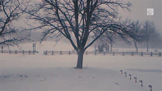 Strong winds blow the fresh snow around this Winnipeg, Manitoba neighbourhood