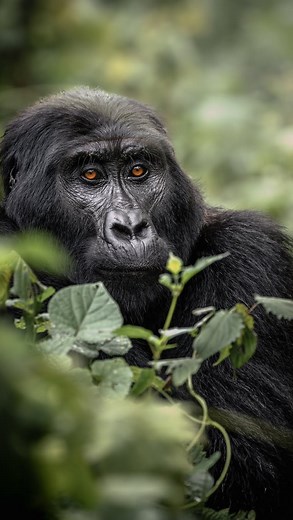 1.8M views · 19K reactions | How much does it cost to trek mountain...