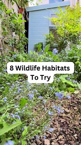 26K views · 303 reactions | It's a wildlife wonderland in Katrina Roche's garden ‍⬛ Here are just some of the habitats and ways she's supporting nature – watch this space for more from Katrina in our 2025 issues! | BBC Gardeners' World Magazine | Facebook