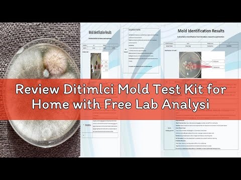 Review Ditimlci Mold Test Kit for Home with Free Lab Analysis - 5 Simple Detection Tests DIY at Home