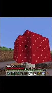 Building a Creeper Zoo for 100 Days #minecraft #minecraftchallenge #minecraftsurvival