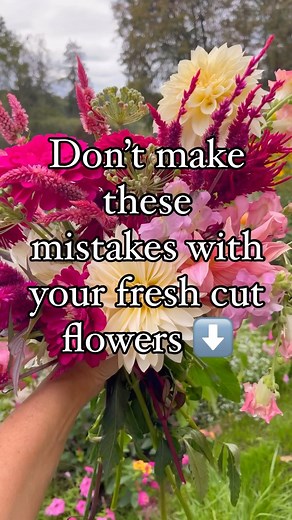 Want your fresh-cut flowers to last longer than a few days? Here are some common mistakes to avoid and keep those blooms beautiful!🌸 ❌ Dirty Vase: Think of it like a drinking glass - you wouldn’t share a grimy cup, and neither do your flowers! Give your vase a good scrub with soapy water before filling it with fresh water. ❌ Straight Cuts: Cut stems on a 45-degree angle. This allows your flowers to drink up more water and stay hydrated. ❌ Submerged Leaves: Foliage under the waterline becomes a 