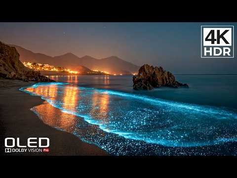 Unreal 16K HDR 240FPS Visuals | Dolby Vision OLED Test - The Most Realistic