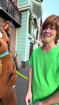 Scooby-Doo Shaggy and Velma on Christmas