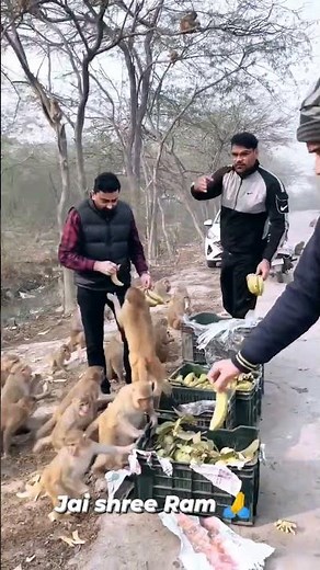 #instagram #facebook reels #videos #youtube channel #viral video #Jai Bajrangbali