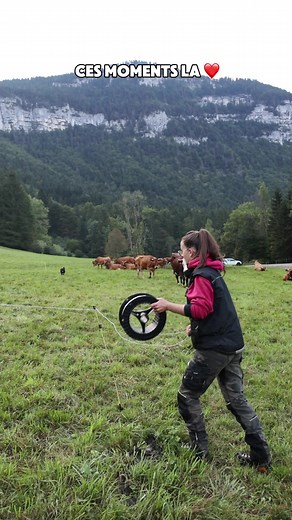 Rien de plus beau ❤️ • Le bruit des cloches, le retour au parc après la traite, les paysages de montagne … Bienvenue chez nous, en Chartreuse, dans notre coopérative 💪🏻 • C’est ça l’agriculture que nous défendons et que nous valorisons à travers nos fromages. Une agriculture locale, entre respect des traditions, des animaux et des hommes. • Acheter nos fromages au magasin, en ligne ou sur les marchés c’est soutenir toute cette filière lait, alors merci à toutes et à tous 😚 • @Léa :): #iciench