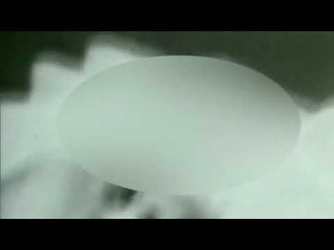 🔴 Queen Elizabeth II ESL Video A1-A2 | English Portal