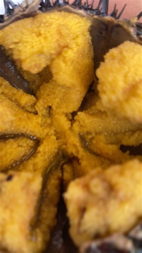 新鮮なウニを楽しむカップル動画🦐❤️‍🔥