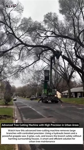 Advanced Tree Cutting Machine with High Precision in Urban Areas