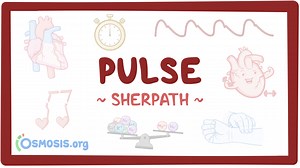 Pulse: Video, Causes, & Meaning | Osmosis