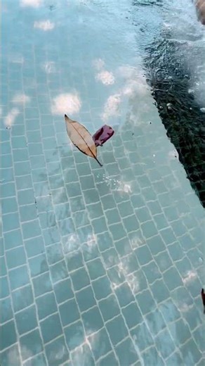 Happy Sounds For A Peaceful Mind