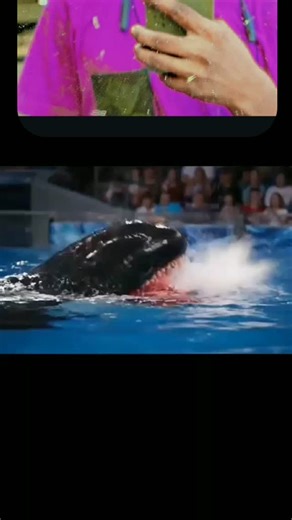 vikashvikash. 76 on Instagram: "Mera video mein bhej nahin a raha hai Mera video viral karo bhai hello Instagram kar do yaar please hello mere 10 alien pad jaaye please kar do video mein pahunchao 50 milian mein video Mera poochho"