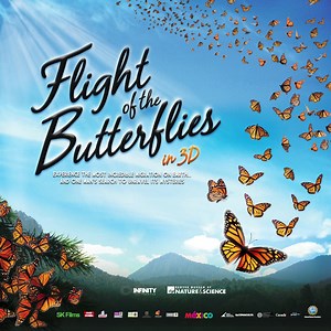 Prepare to be captivated by the mesmerizing visuals of “Flight of the Butterflies” at the Infinity Theater, with stunning cinematography from an award-winning team. | Denver Museum of Nature & Science
