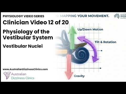 Ep 12 | The Two Integrators -- Time and Space in Vestibular Processing | ADC