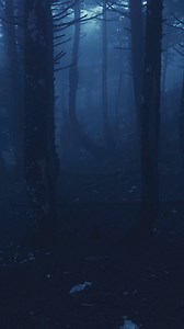 6.9K views · 256 reactions | https://youtube.com/@katrinaweidman?si=l-UtWYJVcuXRFFb8 | Katrina Weidman | Facebook