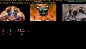Problema verbal de fracciones: ojos de araña