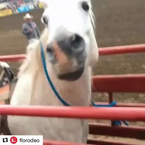 50K views · 25K reactions | EDITOR'S NOTES on VIRGIL — We all watched...