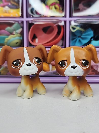 Please tell me I'm not crazy for doing this 🥲 Also sorry guys something came up so whatnot has been postponed until further notice. #lps #littlestpetshop #lpstok #lpstiktok #lpsvideo #lpsmuser #lpscommunity #lpscollection #lpscollector