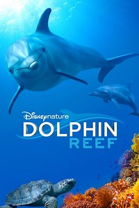 Stream Dolphin Reef (2018): Find it on Netflix, Prime Video, Hulu & more