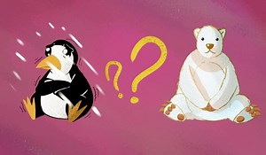 The Arctic vs. the Antarctic