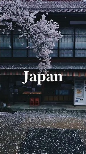Pov Travel in Japan | Snow, Lights & Culture