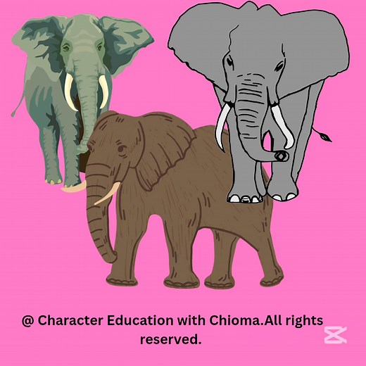 3 comments | True Story: The Elephants Who Kept Their Promise at the...