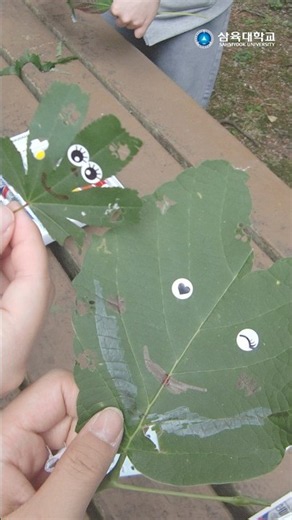 Sahmyook University students heading to the forest for class!?🌿