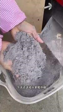 Mini Grain Mill for Southern Homesteads: Easy, Affordable, Essential