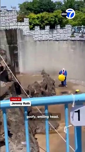 Costumed intruder jumps into Punch the monkey's zoo enclosure