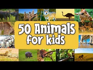 50 Animals for Kids | Learn Names of Wild Animals | Types of Animals for Kids | Learn Animals
