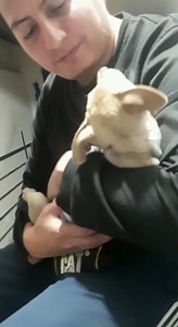 983K views · 66K reactions | Pueda que no haya sido la mejor semana, que tu día este lleno de estrés y carga laboral pero solo los que tenemos un compañer@ en casa sabemos que siempre nos reciben de la mejor manera y todo mejora 殺 | Samaniego Nariño | Facebook