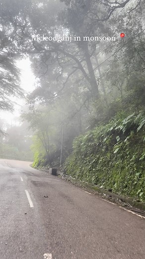 Mcleodganj in monsoon it's safe to travel and explore in monsoon 📍 Contact us for more info, Himachal tours and Trek booking @kareri_hikers & 91 8219257443 Reposting our content without permission is a serious copyright violation. Downloading and sharing our work as your own is not only unethical but also illegal. We will take illegal action. And claim copyright #monastry #dalailama #himachal #dharamshala #reels #mcleodganj #reelsinstagram #reelsvideo #trendingreels #india #delhi #teaching #tra