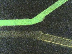 low shear microfluidic cell assay chip