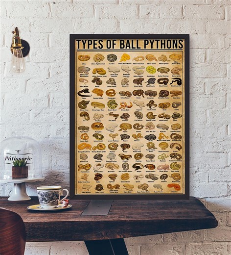 Types of Ball Pythons Poster, Pet Snake Lover Gift Print, Reptile Keeper Wall Art, Herpetology Decor, Snake Breeder Present Idea - Etsy