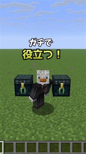 【マイクラ】0.1%の人しかしらないマイクラ豆知識3選！【java版対応】 #マイクラ #マインクラフト #裏技 #0.1%