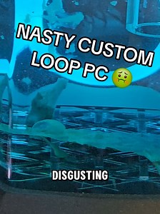 Alexandria Customs 🐲🇨🇦 (@alexandriacustoms)’s videos with original sound - Alexandria Customs 🐲🇨🇦