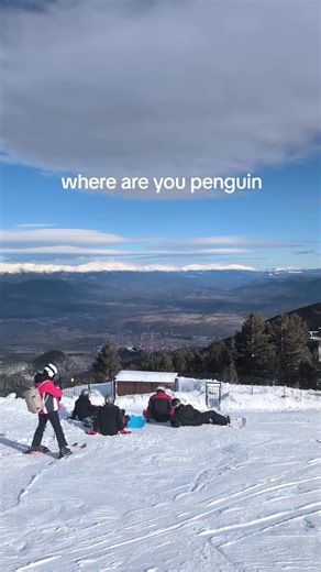 Exploring the Habitat of Penguins in Mountain Regions