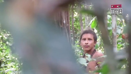 Amazon tribesman captured hunting with spears in rainforest