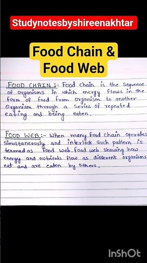 What Food Chain and Food Web? Food Chain|Food Web|Class 12 |Ecosystem|Biology #ecosystem #biology