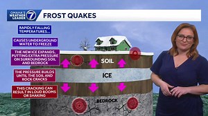Can trees 'explode' from extreme cold? Not exactly. KETV's Caitlin Harvey explains