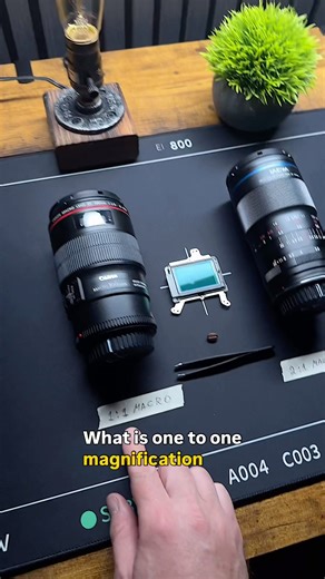 What is 1:1 magnification #macro #macrophotography #photographytips #cameragear #lensreview